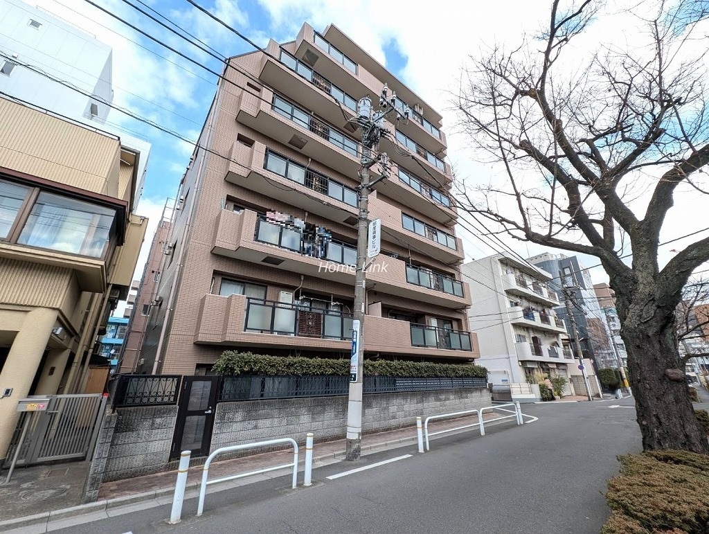 マイキャッスル板橋　南側からの外観